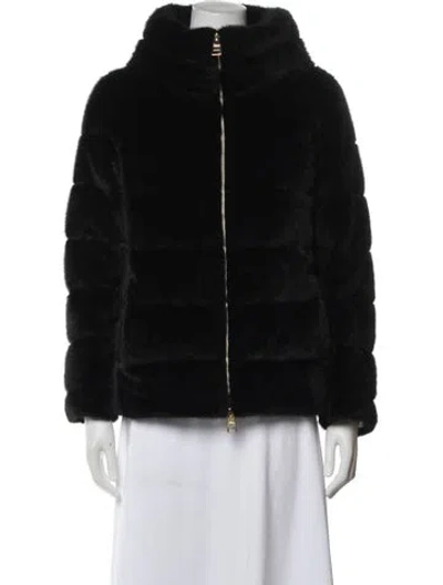 Pre-owned Herno Jacket In Black