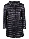 Herno Coats & Jackets In Black
