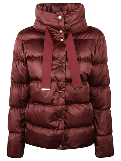 Herno Jacket In Burgundy