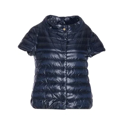 Herno Jackets