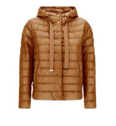 Herno Jackets In Brown