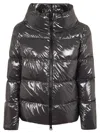 Herno Gloss Hood Down Jacket In Grey