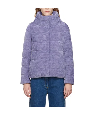 Herno Logo Down Jacket In Purple