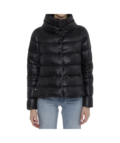HERNO HERNO HIGH-NECK QUILTED PADDED JACKET