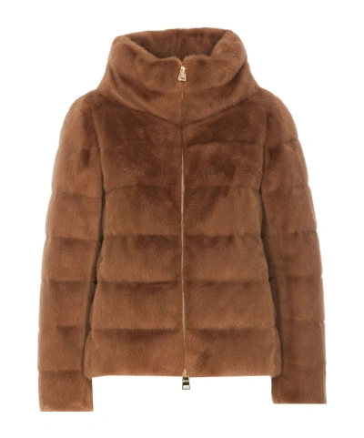 Herno Long-sleeved Down Jacket In Brown