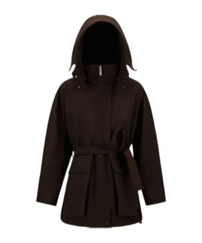 Herno Hooded Belted Jacket In Brown