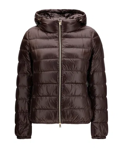 Herno Long-sleeve Jacket In Brown