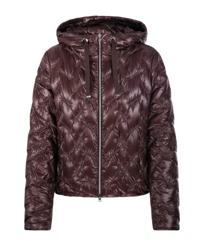 Herno Long-sleeve Jacket In Brown