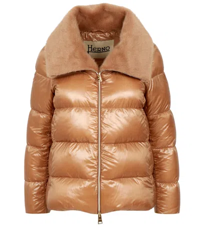 Herno Long-sleeved Cotton-padded Jacket In Yellow