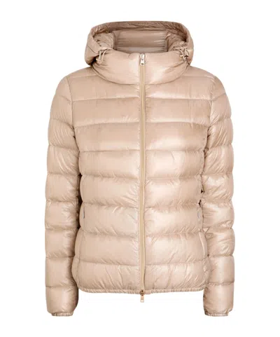 Herno Long-sleeved Down Jacket In Transparent