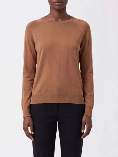 Herno Long-sleeved Lyocell Crewneck Jumper With Decorative Buttons In Brown