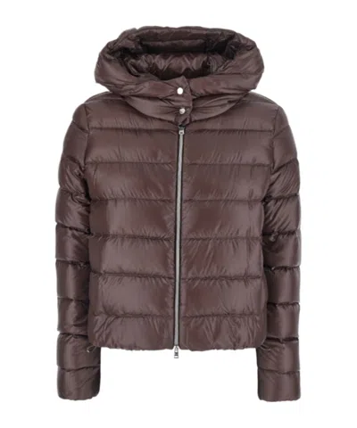Herno Long-sleeved Padded Jacket In Brown