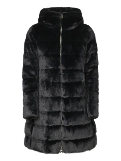 Herno Down Jackets In Black