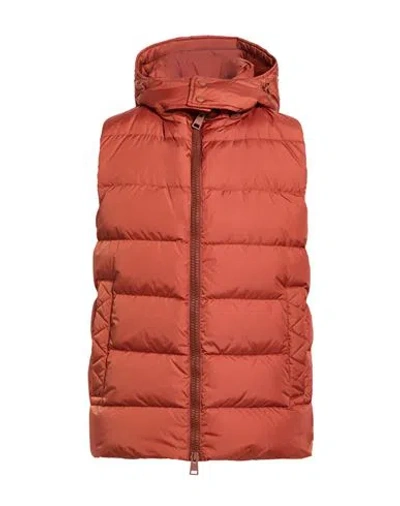 Herno Man Vest Brown Size 42 Polyamide