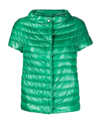 Herno Margherita Short-sleeved Jacket In Green