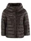 Herno Iconico Piumino Sofia Jacket In Chocolate