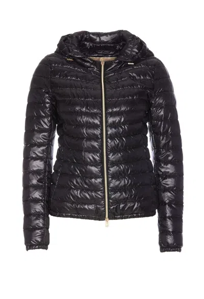 Herno Hooded Down Jacket In Black