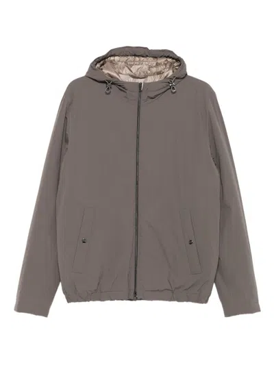 Herno Nylon Hooded Jacket In Brown