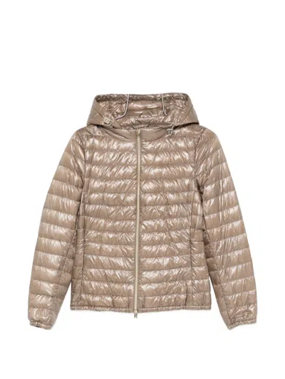 Herno Hooded Nylon Short Down Jacket Quilted In Brown