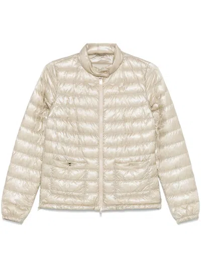 Herno Nylon Short Down Jacket In Silver