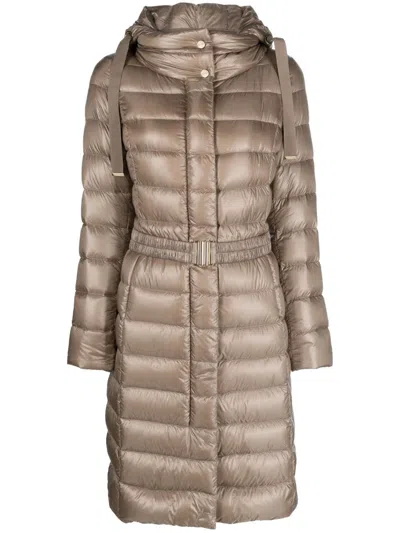 Herno Padded Belted Raincoat In Brown