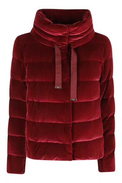 HERNO PADDED BURGUNDY VELVET DOWN COAT WITH HIGH COLLAR
