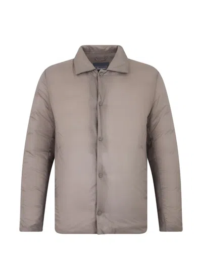 Herno Padded Classic-collar Jacket In Neutral