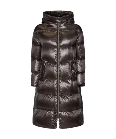Herno Padded Coat In Black