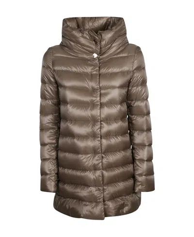 Herno Padded Coat In Brown