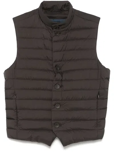 Herno Padded Gilet In Braun