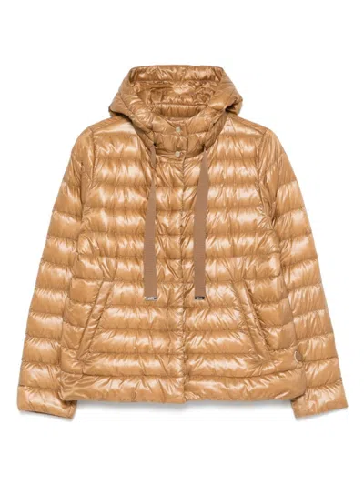 Herno Padded Goose Down Ultralight Jacket