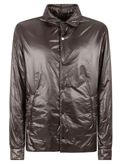 Herno Padded Grey Coat With Classic Collar In Brown