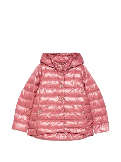 Herno Kids' Padded Hooded Jacket In Pink