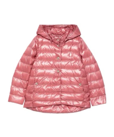 Herno Padded Hooded Jacket In Pink