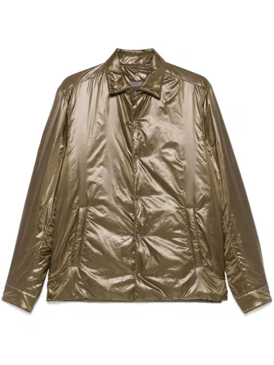 Herno Padded Jacket In Green