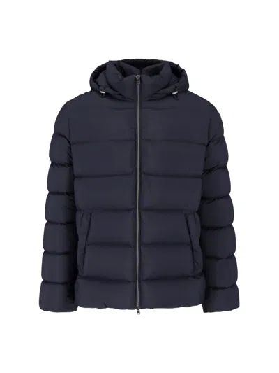 Herno Padded Jacket "il Bomber" In Black