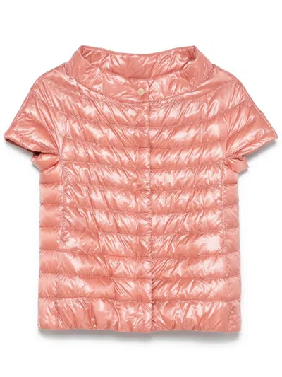 Herno Padded Jacket In Pink