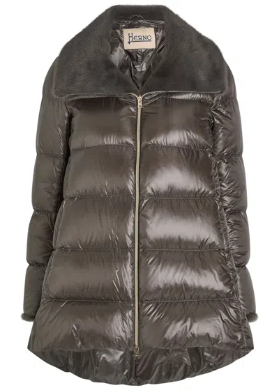 Herno Padded Nylon Coat In Brown