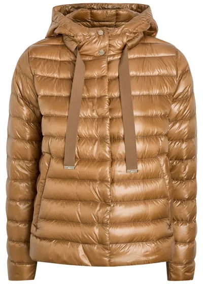 Herno Padded Nylon Jacket In Brown