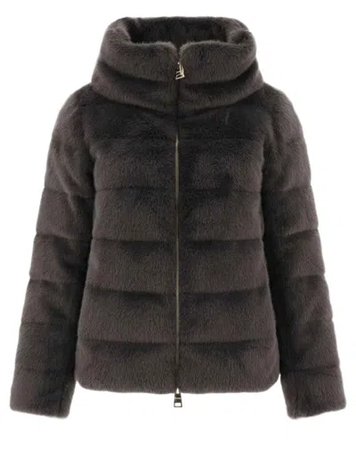 Herno Padded Short Jacket In Plush Synthetic Fur In Brown
