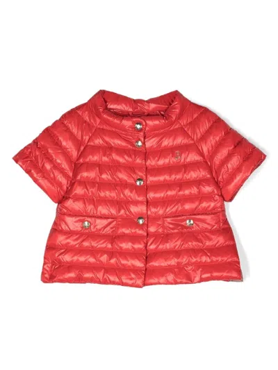 Herno Kids' Padded Short-sleeve Jacket In Red