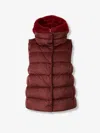 Herno Padded Vest Hood In Burgundy