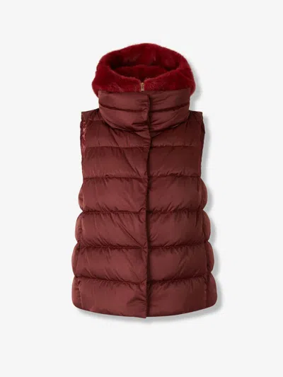 HERNO HERNO PADDED VEST HOOD