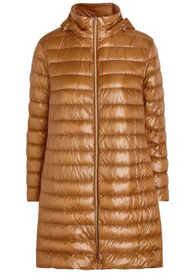 Herno Panelled Padded Hooded Shell Jacket In Brown