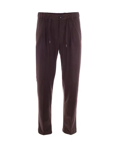 Herno Pantalone Pinces Marrone Scuro In Burgundy