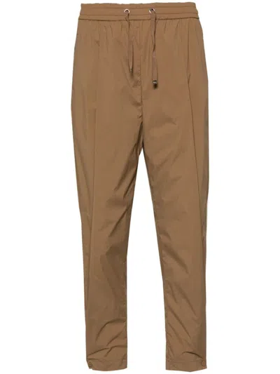 Herno Pants In Brown