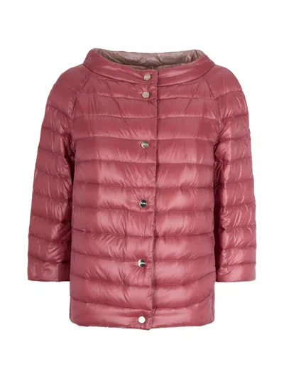 Herno Pink Purple Polyamide Down Jackets