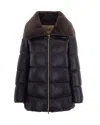 Herno Collared Padded Jacket In Black