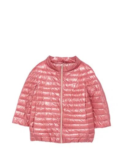 Herno Kids' Quilted Bomber Jacket In Pink