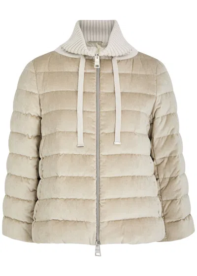 Herno Quilted Chenille Jacket In Cream